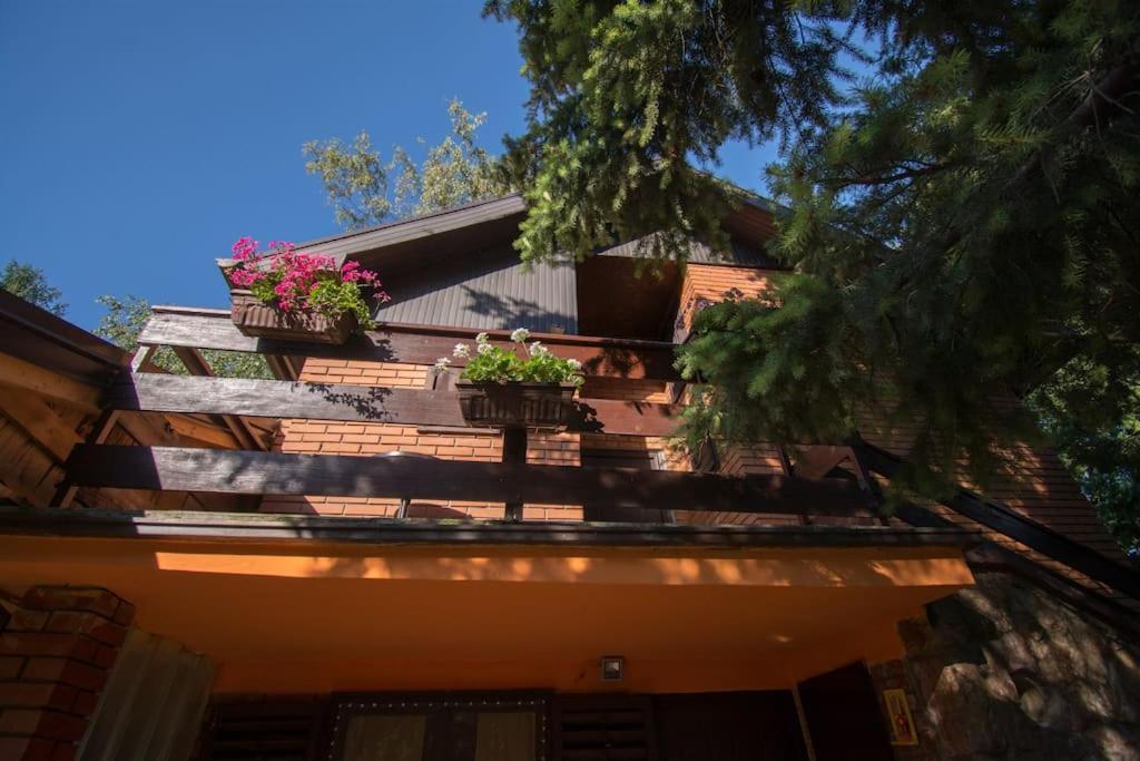 Vila Happy House Velika Remeta Exteriér fotografie
