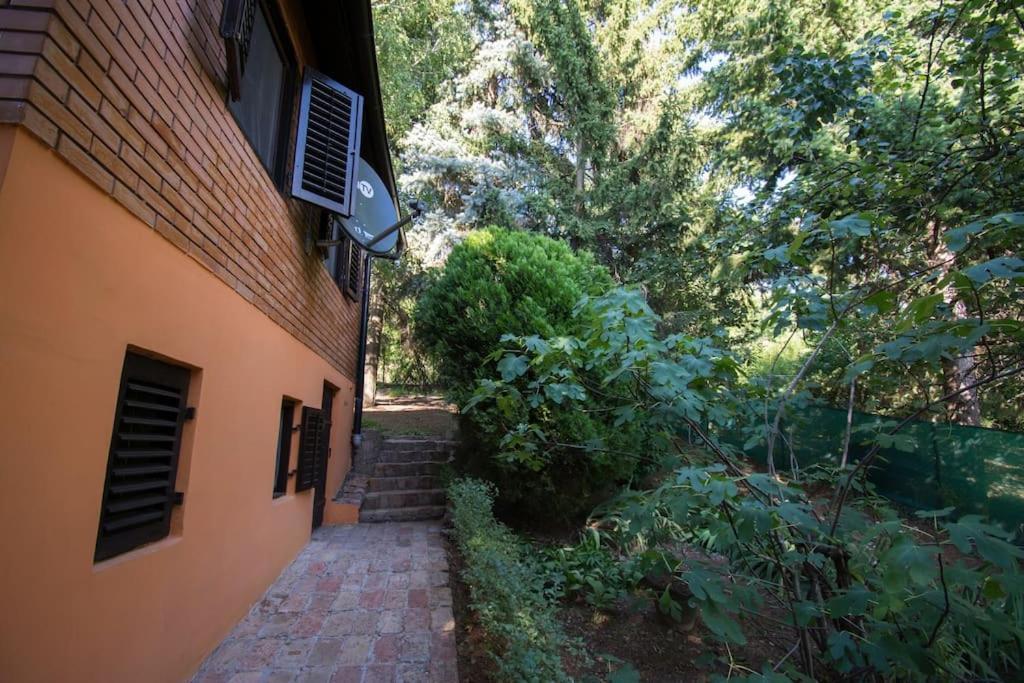 Vila Happy House Velika Remeta Exteriér fotografie